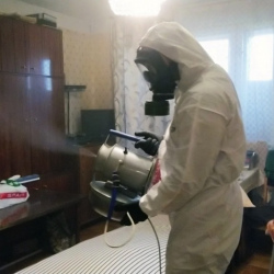 Дезинфекция от клопов в Чистополе