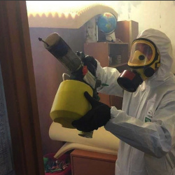 Уничтожение клопов в квартире. Чистополь